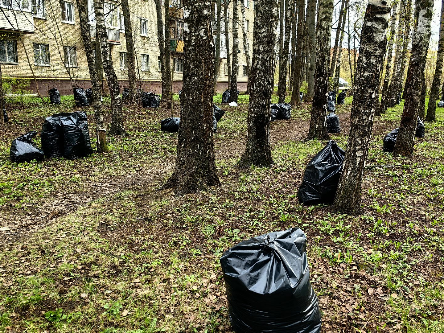 уборка дворов, служба благоустройства, листва, дороги, день труда московской области,