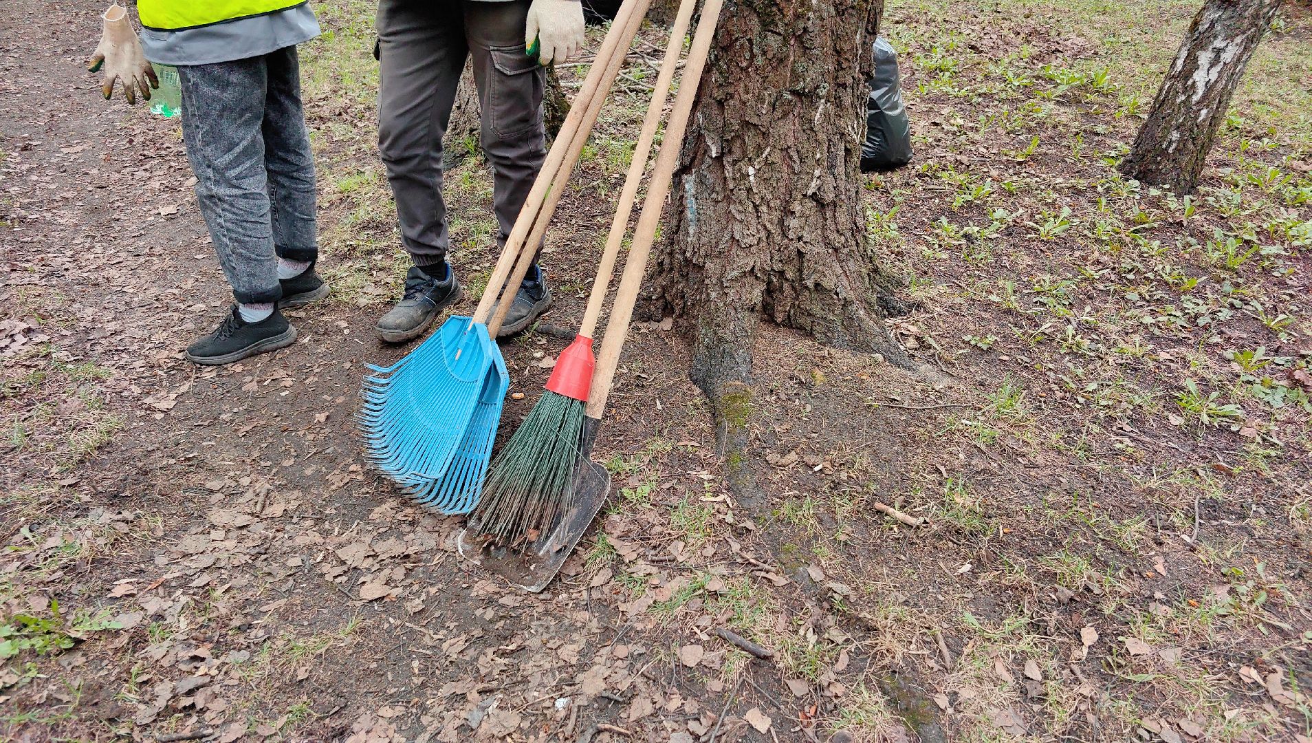 уборка дворов, служба благоустройства, листва, дороги, день труда московской области,