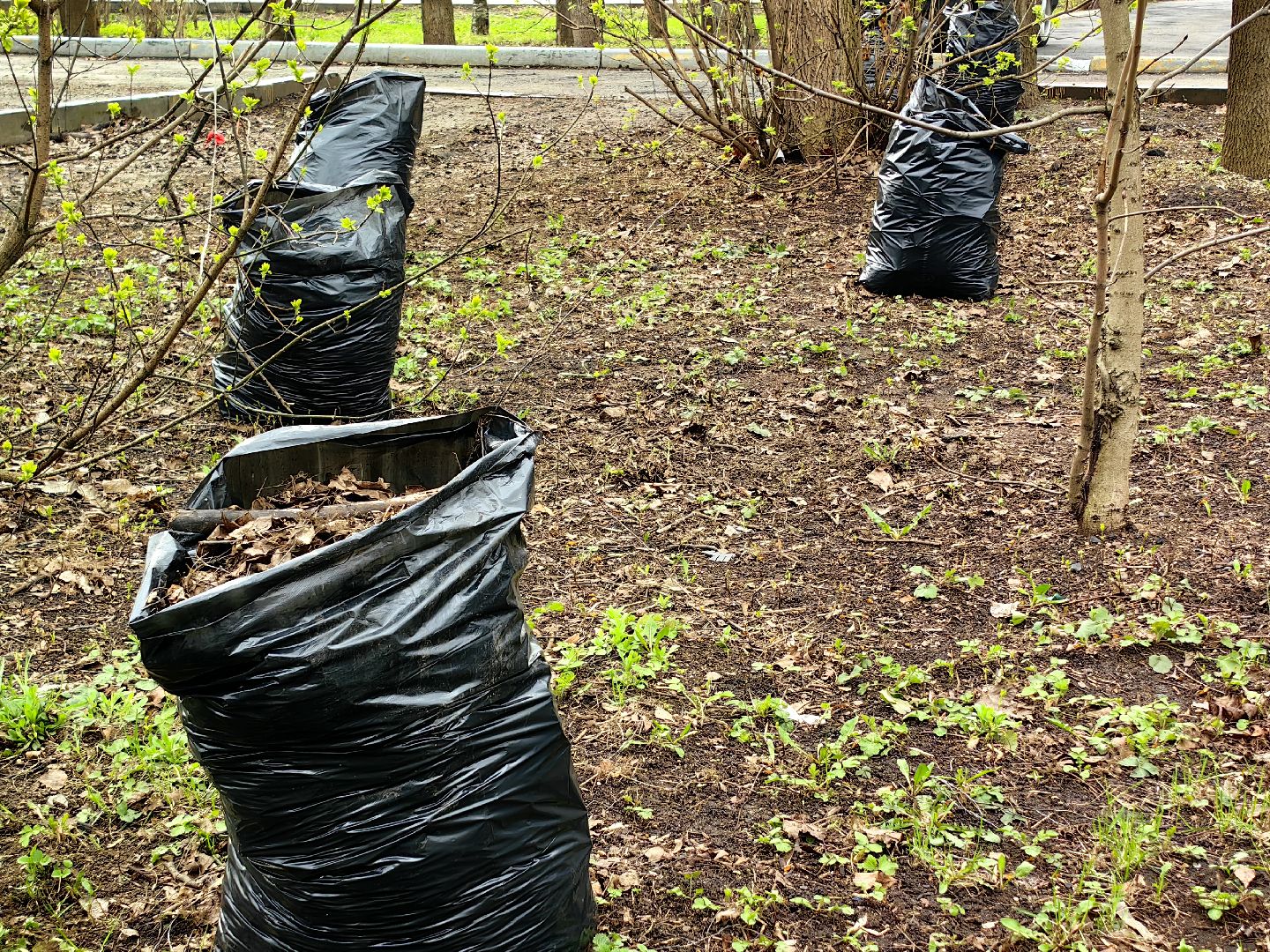 уборка дворов, служба благоустройства, листва, дороги, день труда московской области,