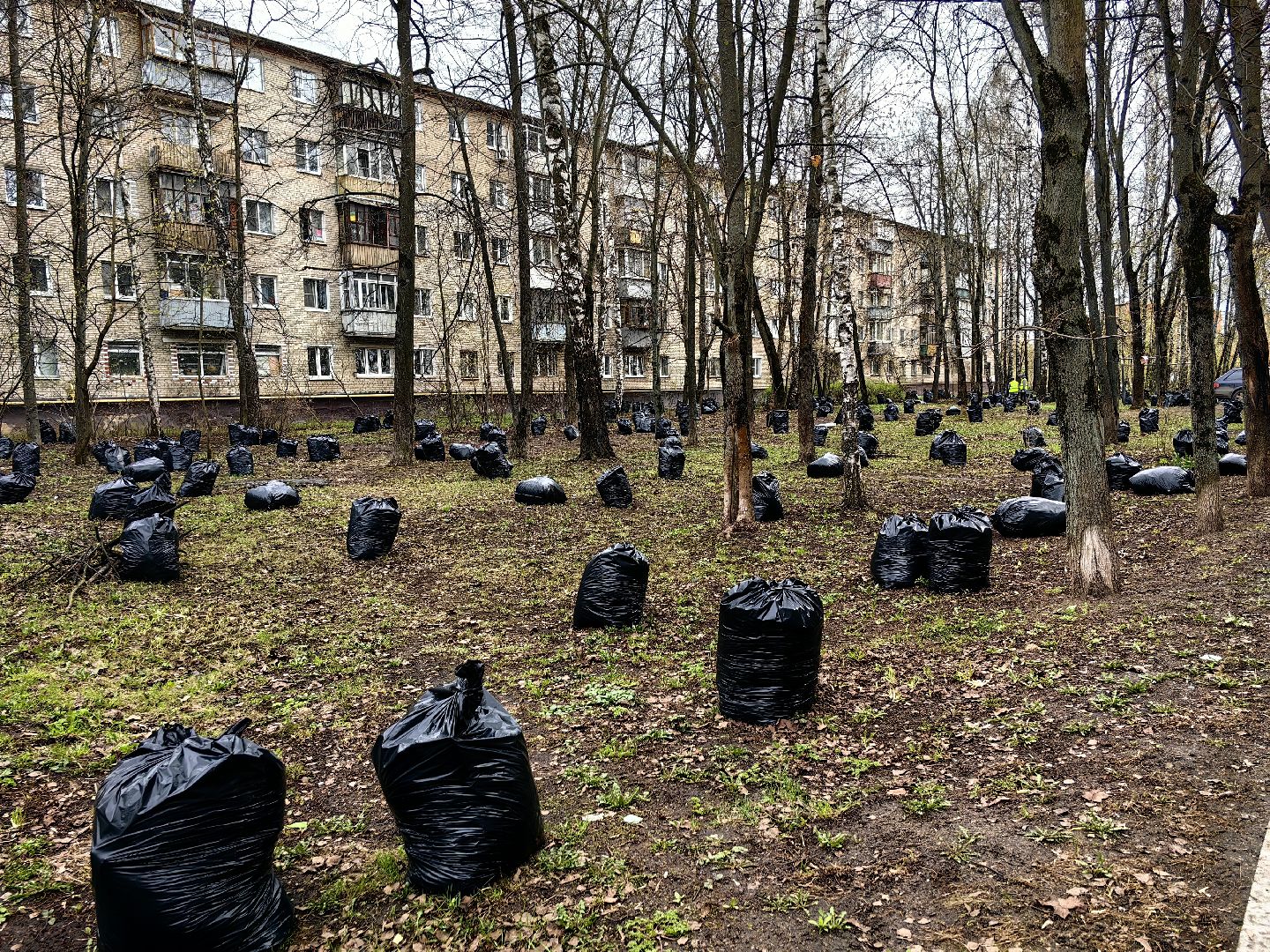 уборка дворов, служба благоустройства, листва, дороги, день труда московской области,