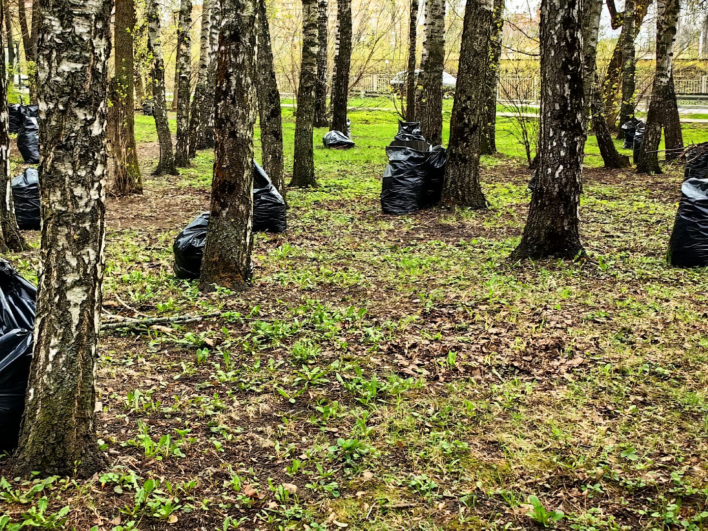 уборка дворов, служба благоустройства, листва, дороги, день труда московской области,