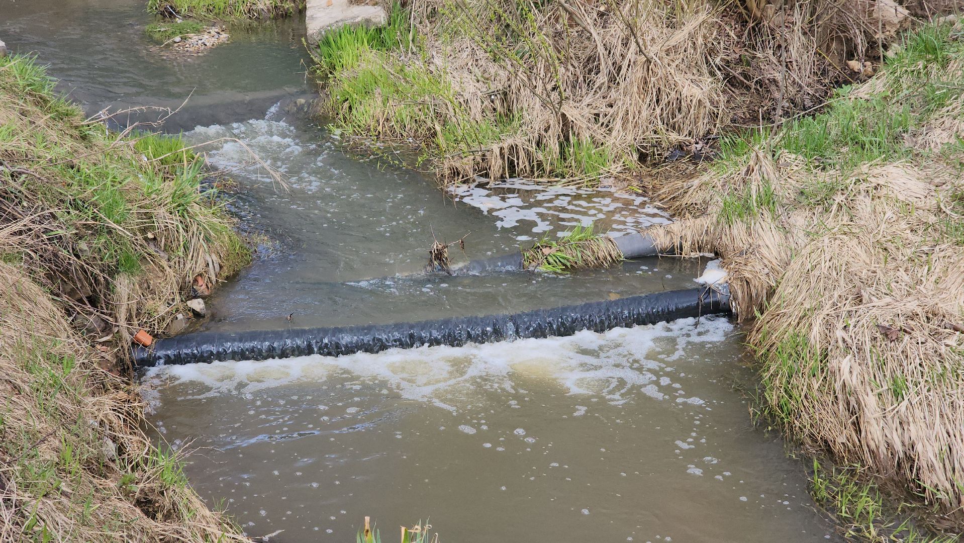 Одинцово, лесной городок, ликова, субботник,
