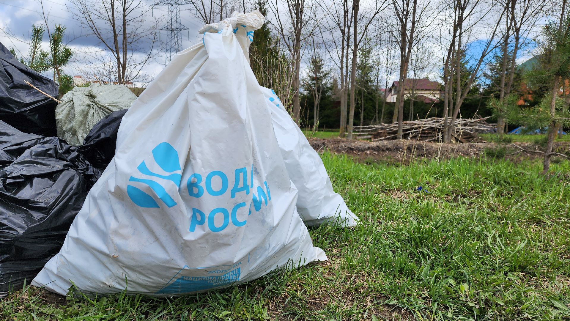 Одинцово, лесной городок, ликова, субботник,