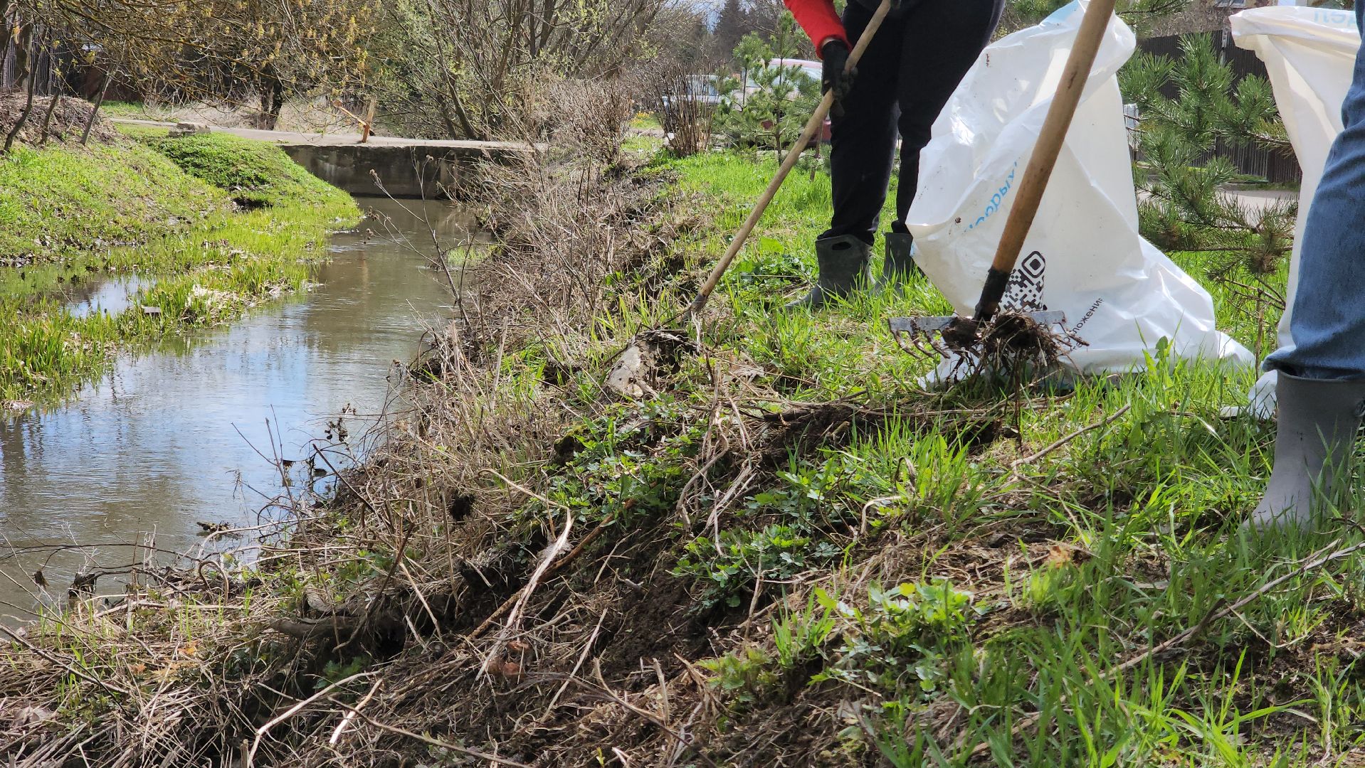 Одинцово, лесной городок, ликова, субботник,