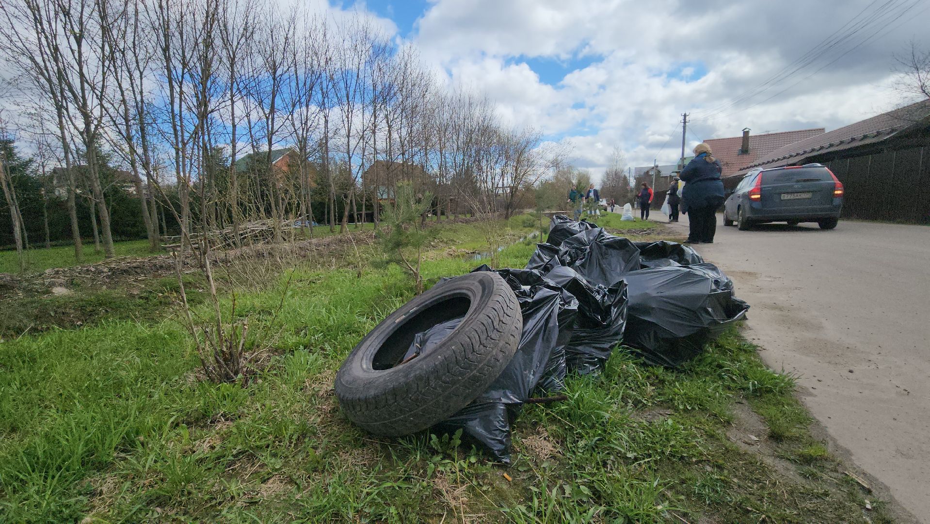 Одинцово, лесной городок, ликова, субботник,