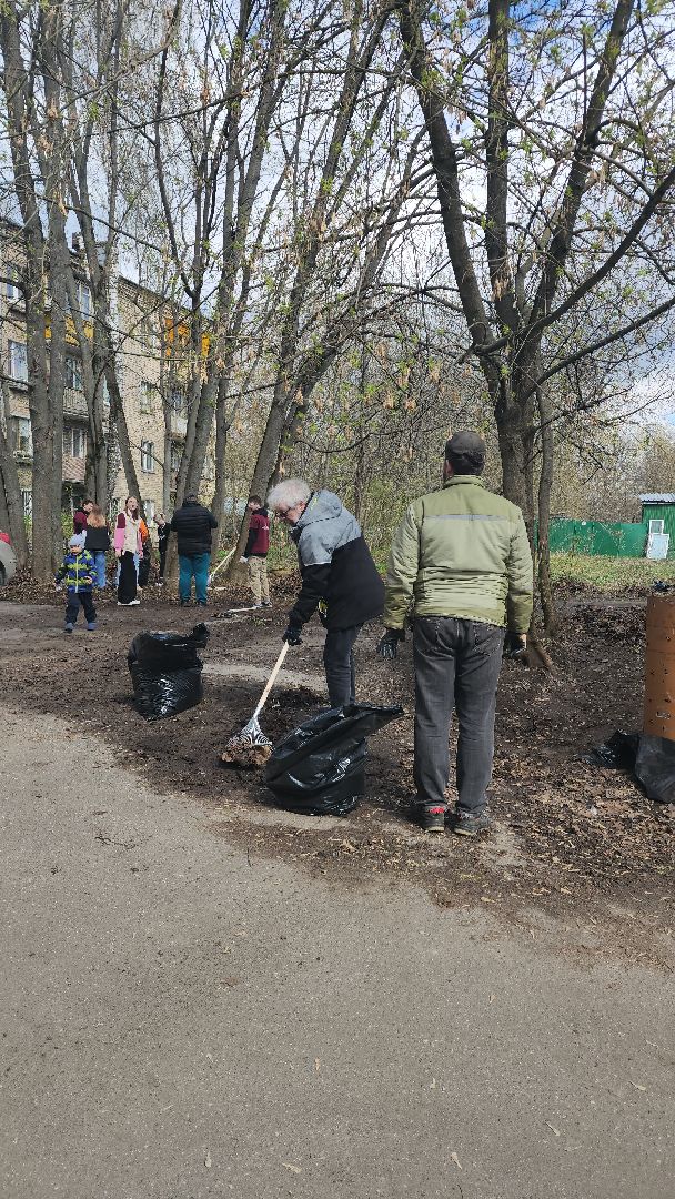 пушкино, субботник, музей, волонтеры культуры, уборка общественных территорий,