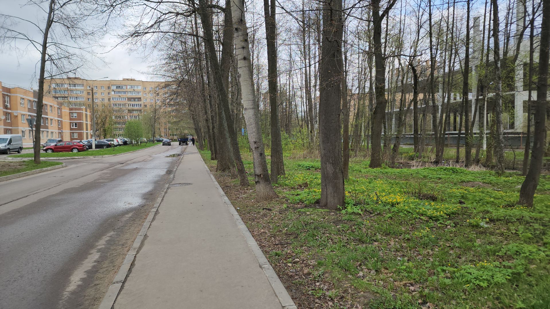 ступино, муниципальный субботник, субботник в подмосковье,