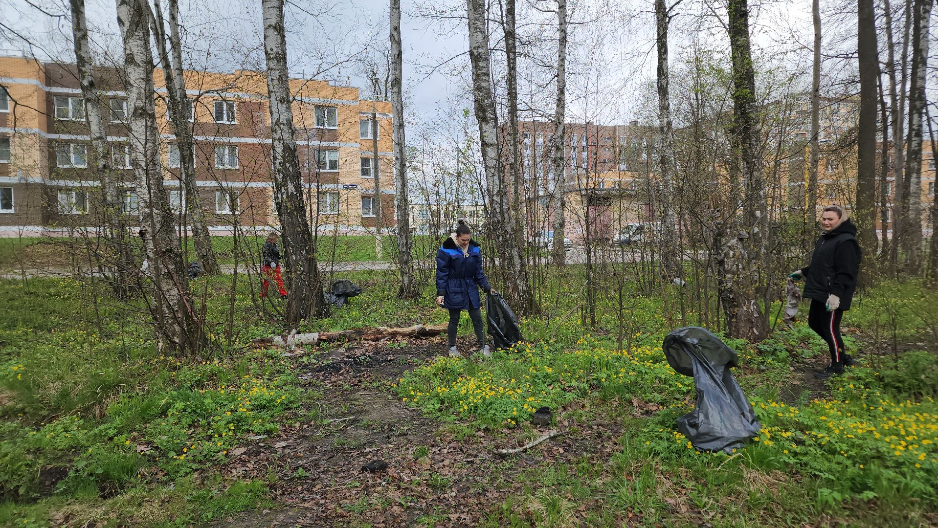 ступино, муниципальный субботник, субботник в подмосковье,