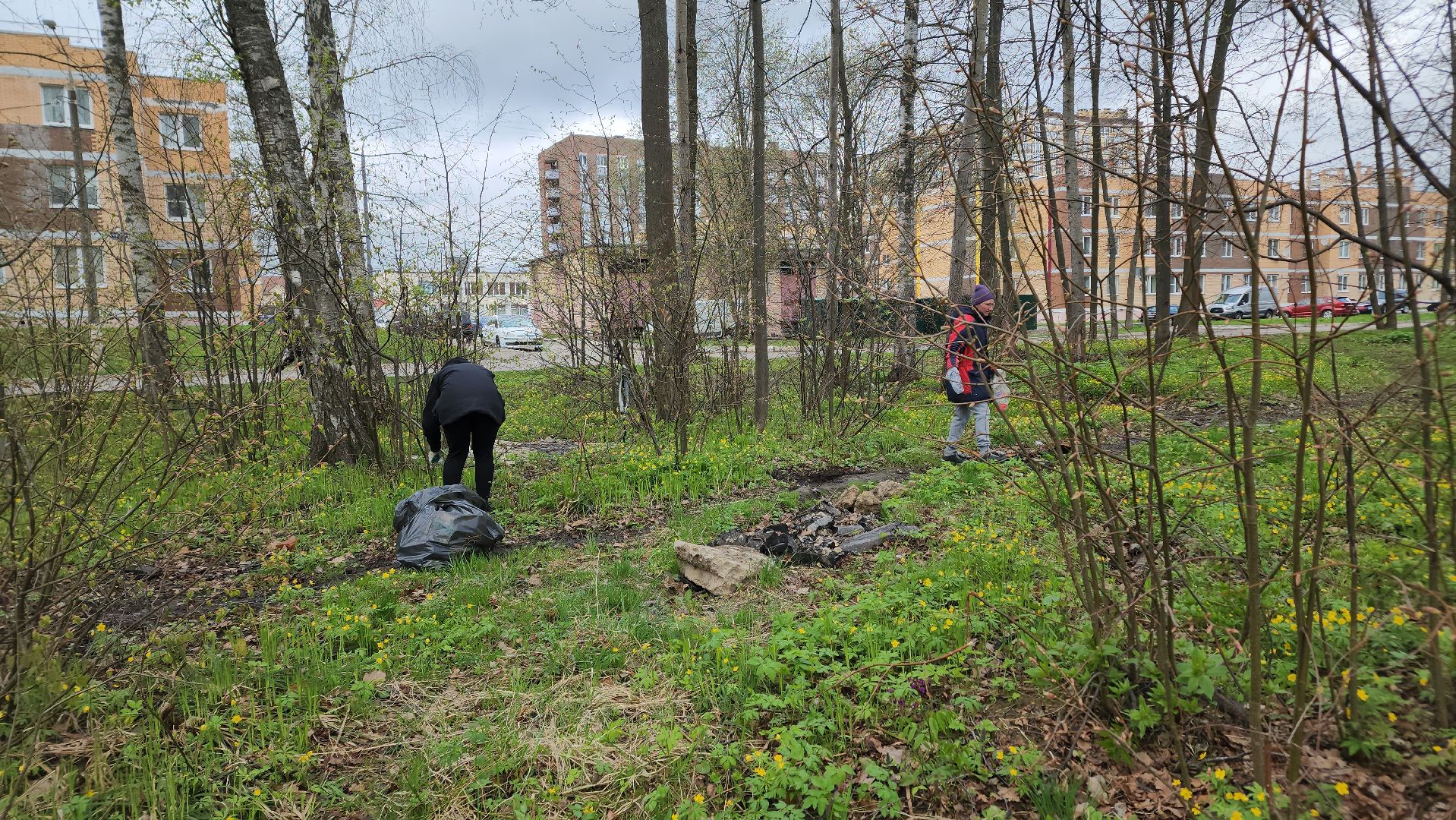ступино, муниципальный субботник, субботник в подмосковье,