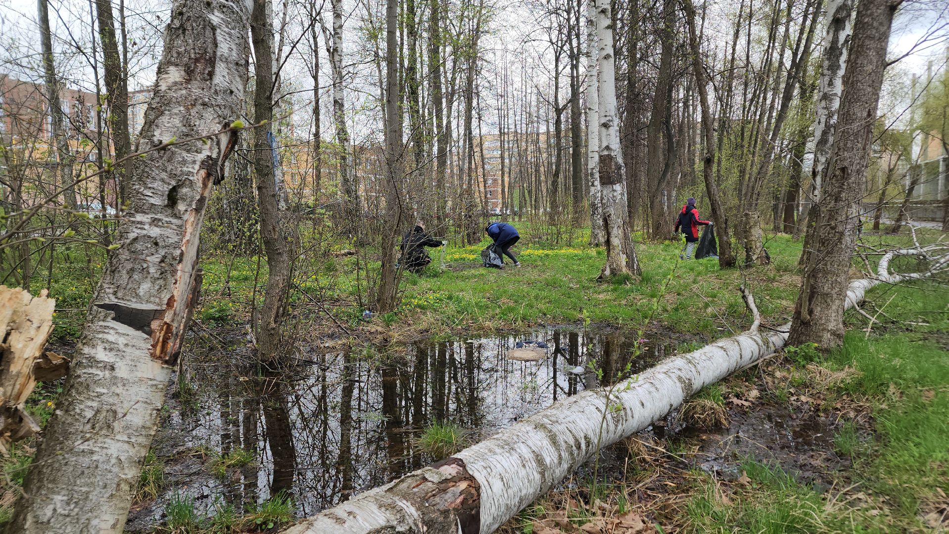 ступино, муниципальный субботник, субботник в подмосковье,