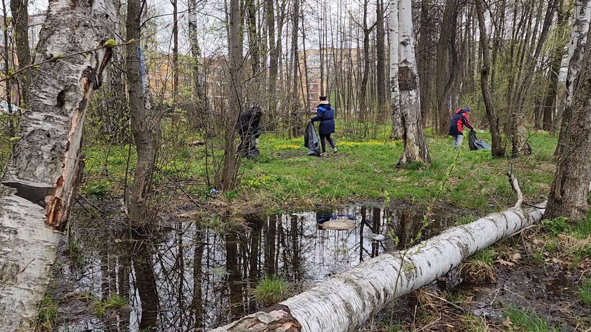 ступино, муниципальный субботник, субботник в подмосковье,