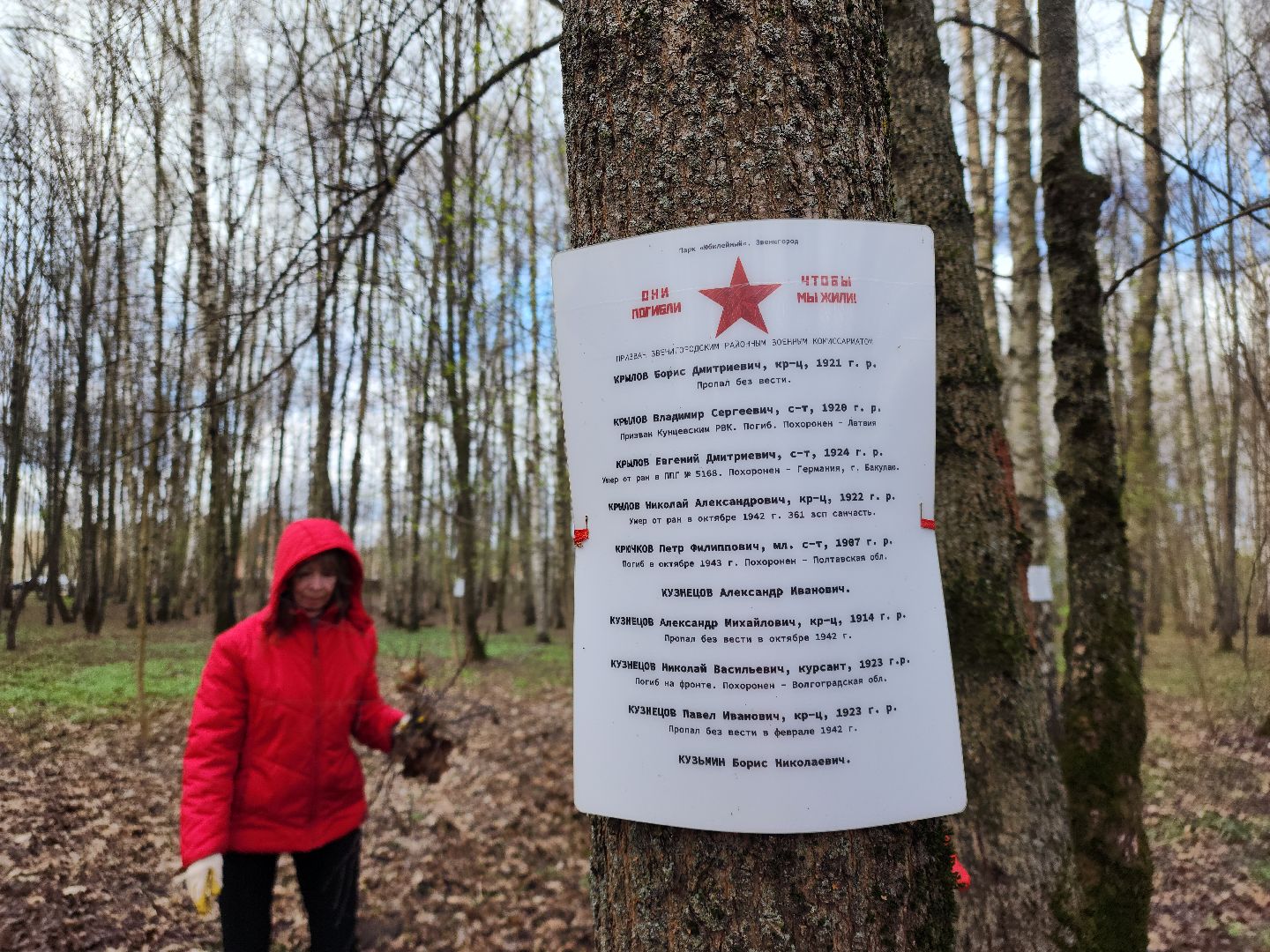 Звенигород, благоустройство, субботник,