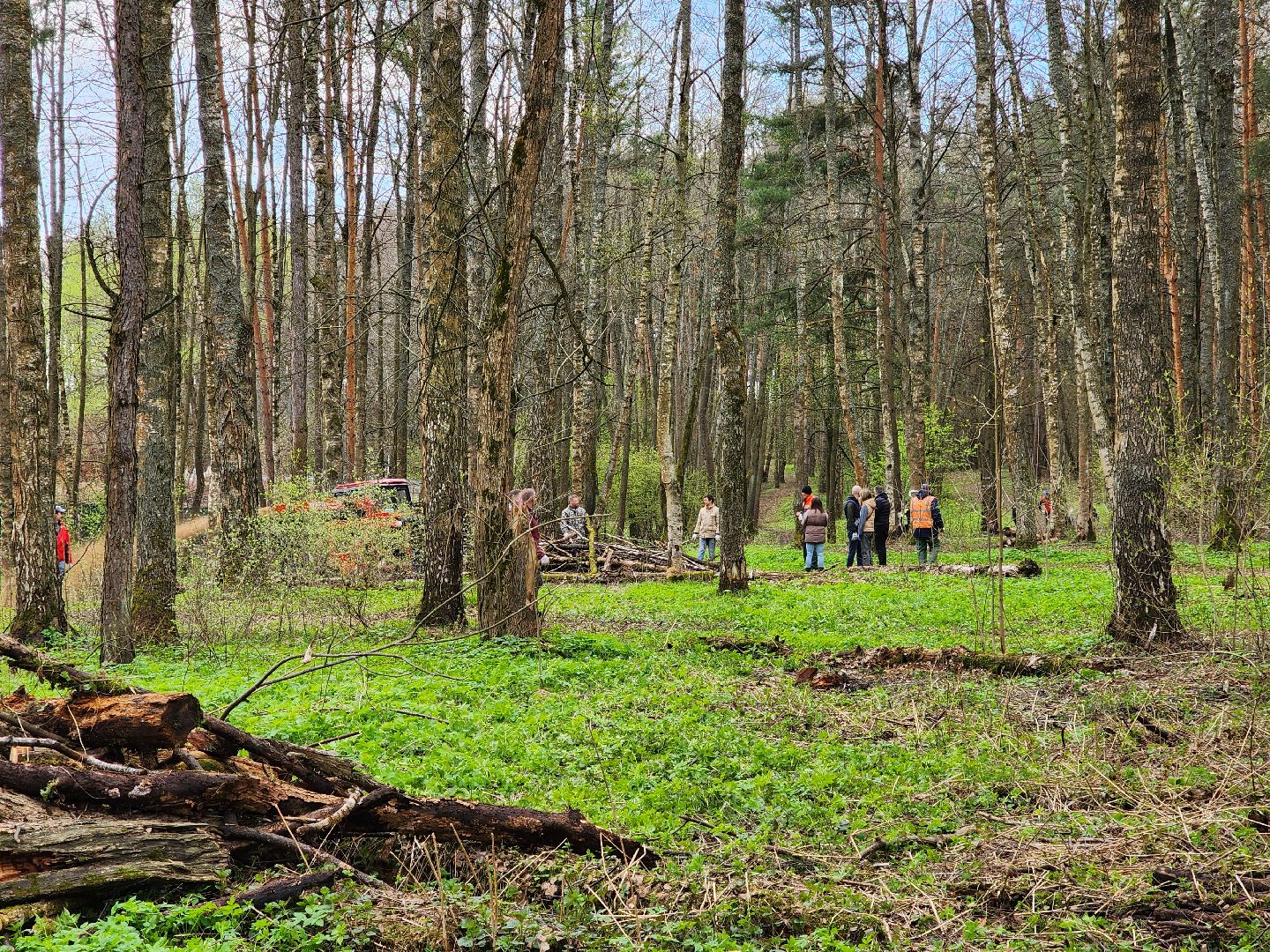 ногинск, лесопарк, Орешник, субботник, общеобластной субботник,