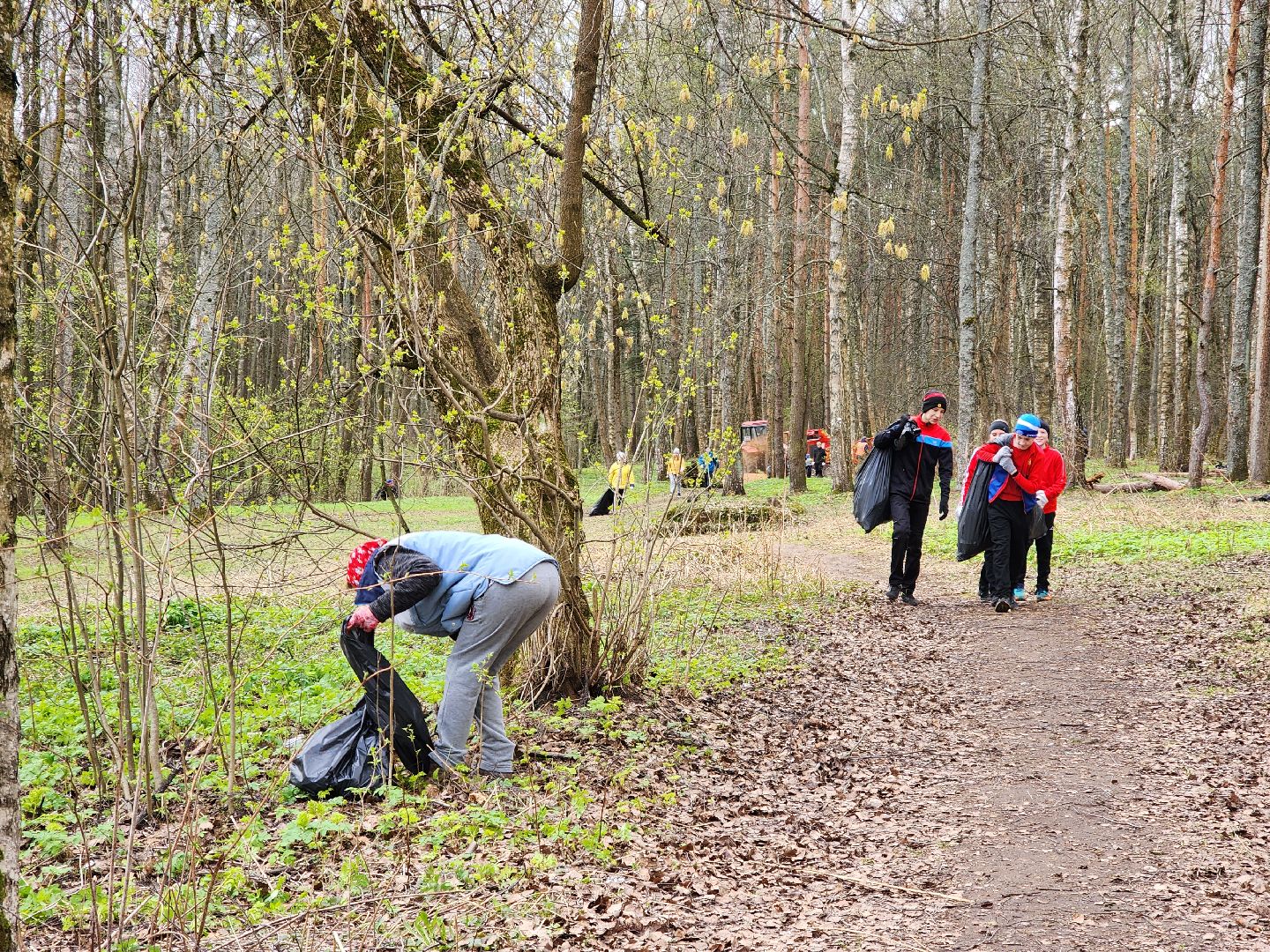 ногинск, лесопарк, Орешник, субботник, общеобластной субботник,