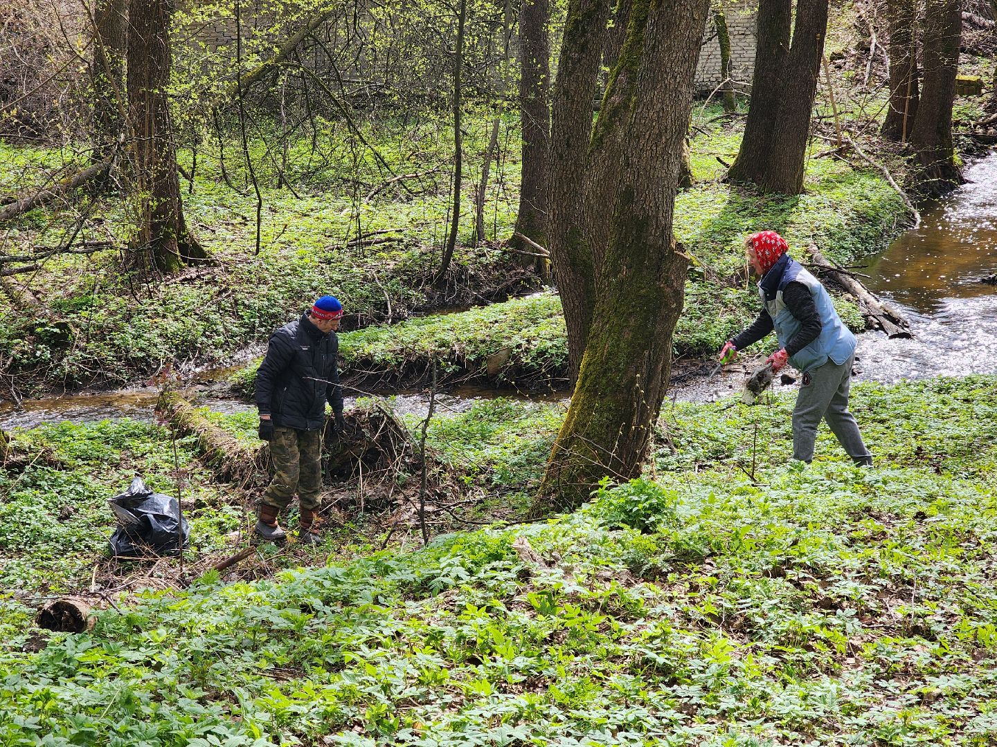 ногинск, лесопарк, Орешник, субботник, общеобластной субботник,