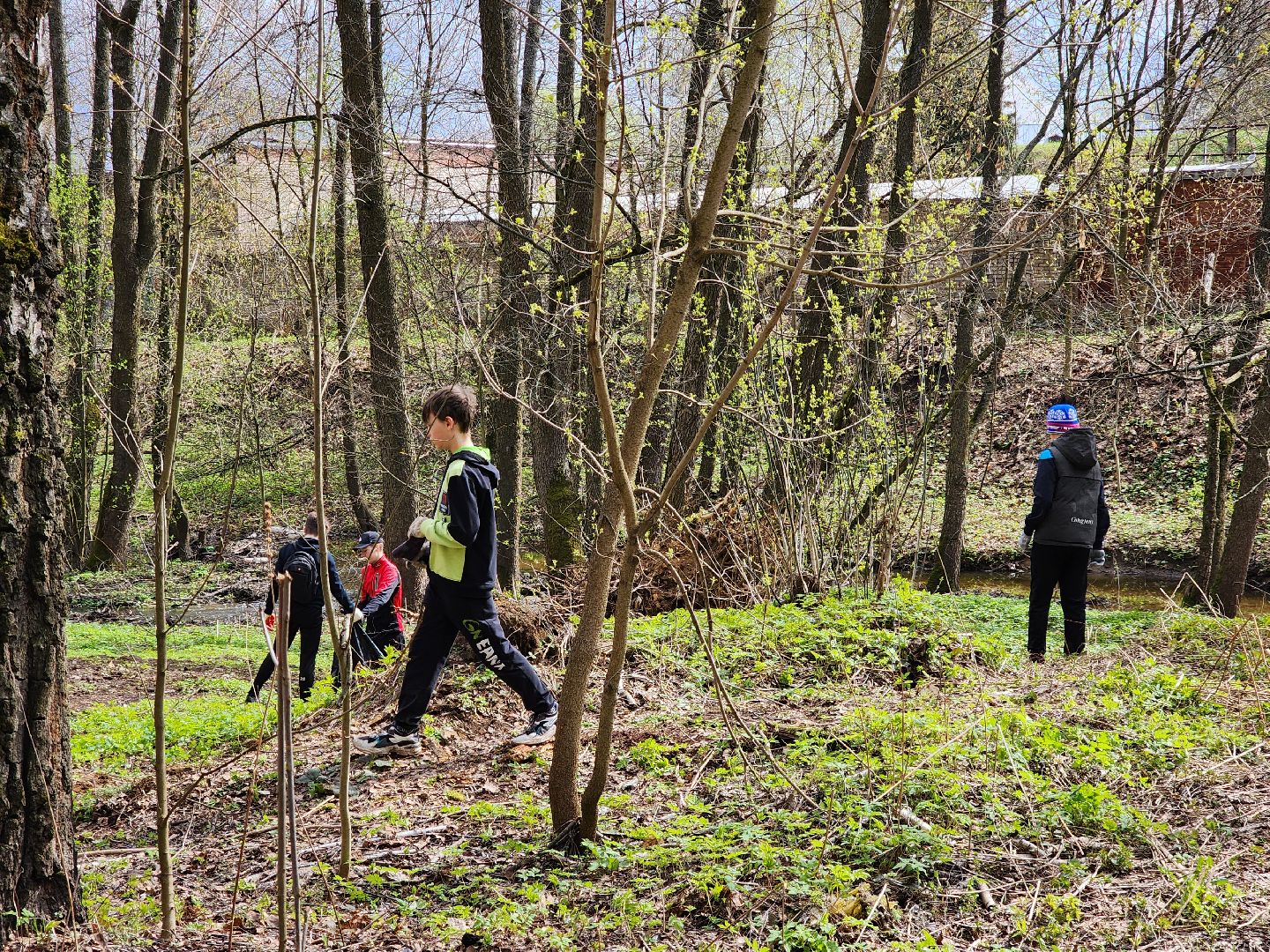 ногинск, лесопарк, Орешник, субботник, общеобластной субботник,