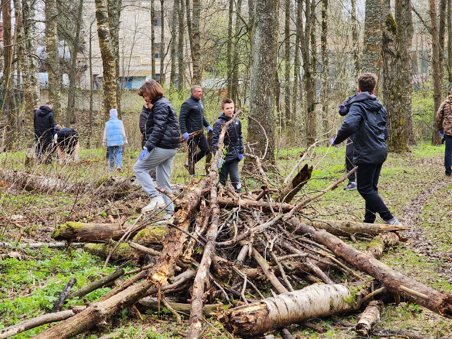 ногинск, лесопарк, Орешник, субботник, общеобластной субботник,