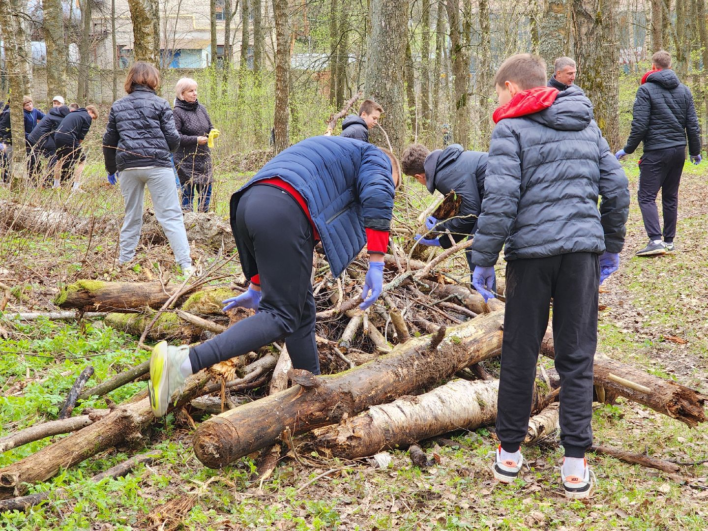 ногинск, лесопарк, Орешник, субботник, общеобластной субботник,