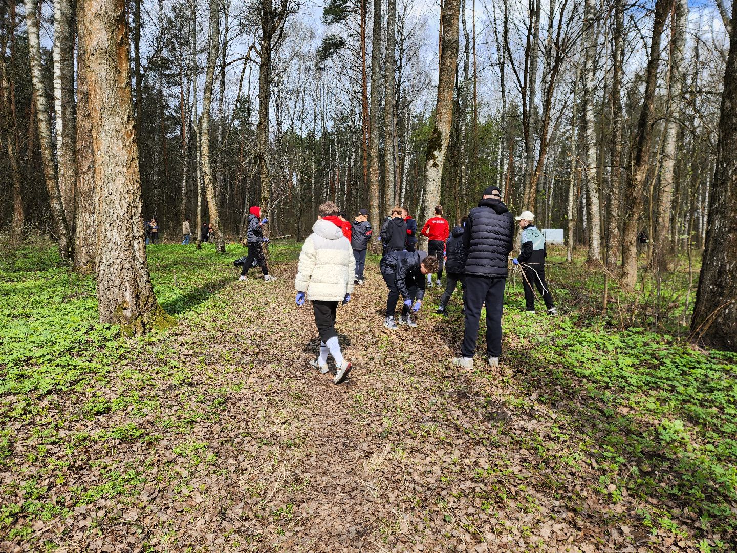 ногинск, лесопарк, Орешник, субботник, общеобластной субботник,