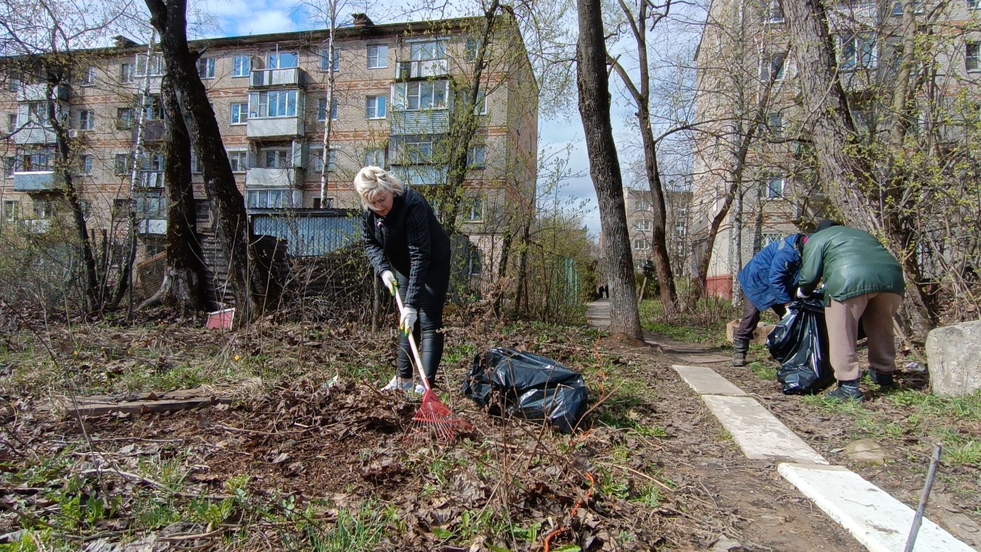 субботник, лобня, уборка,