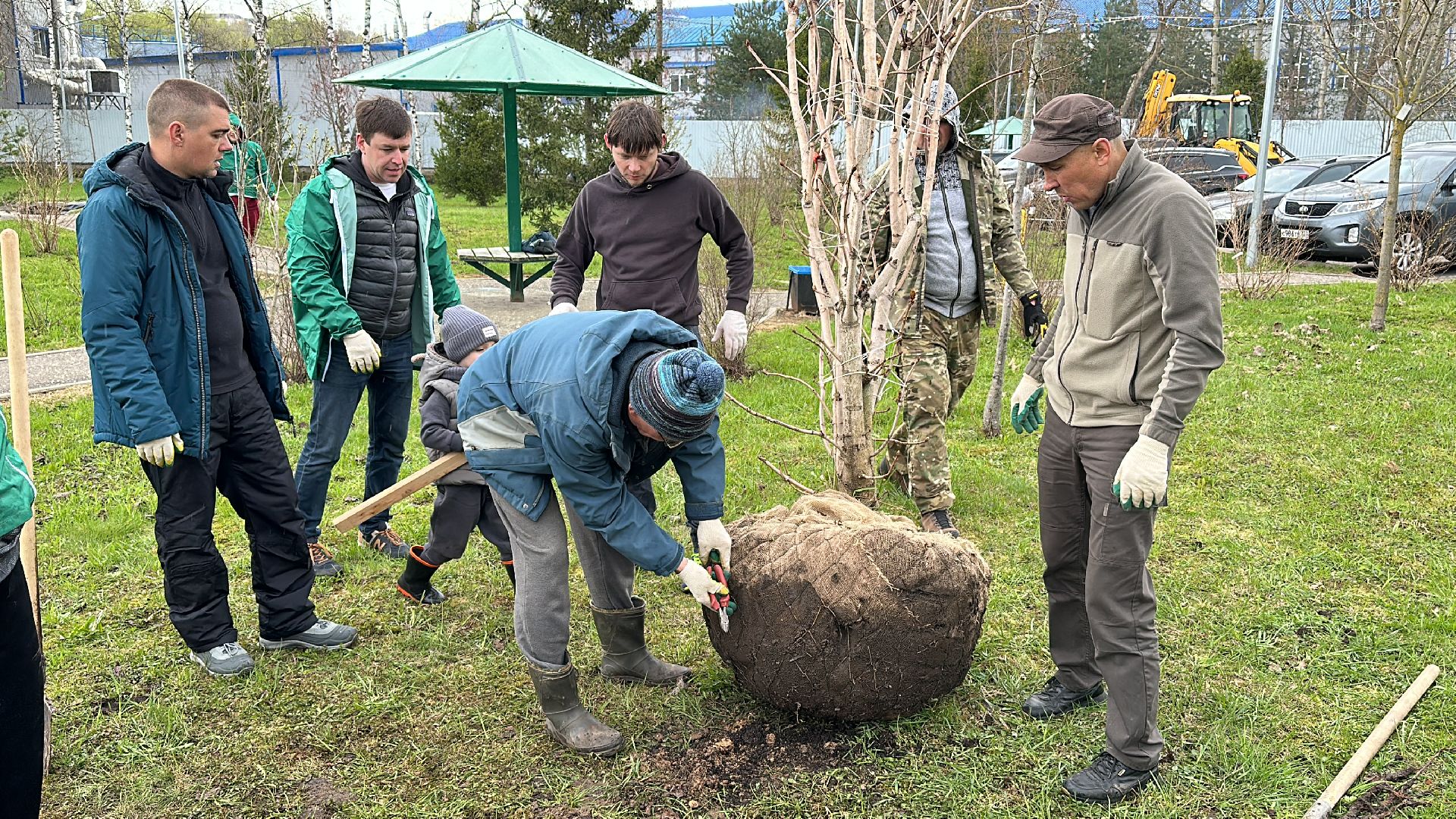 Клин, общество, благоустройство, субботники, деревья,