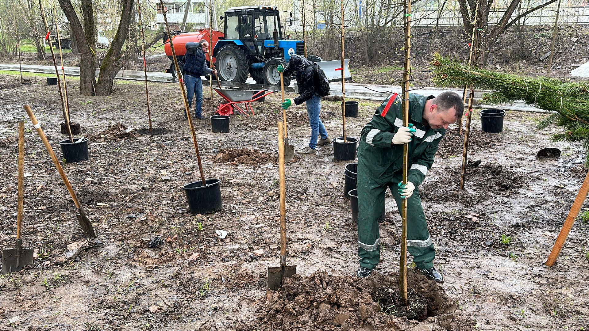Клин, общество, благоустройство, субботники, деревья,