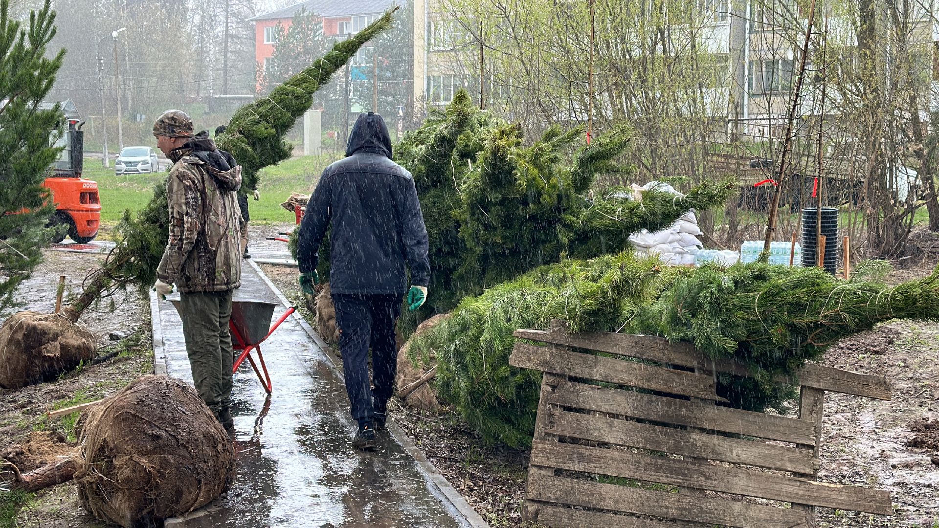 Клин, общество, благоустройство, субботники, деревья,