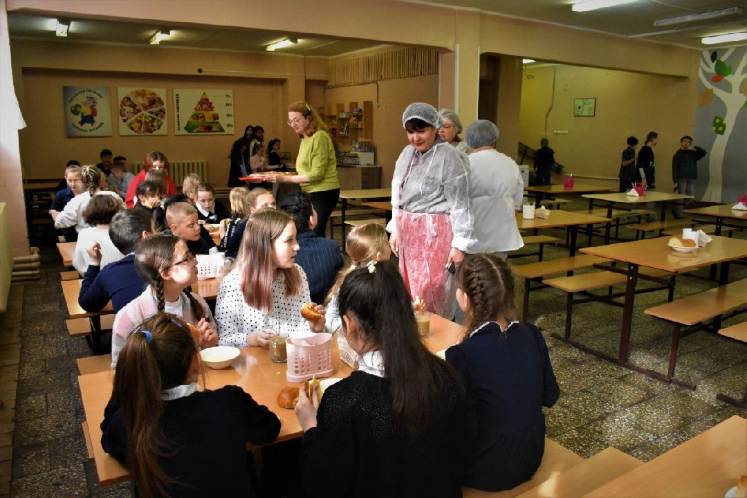 школа, проверка, питание