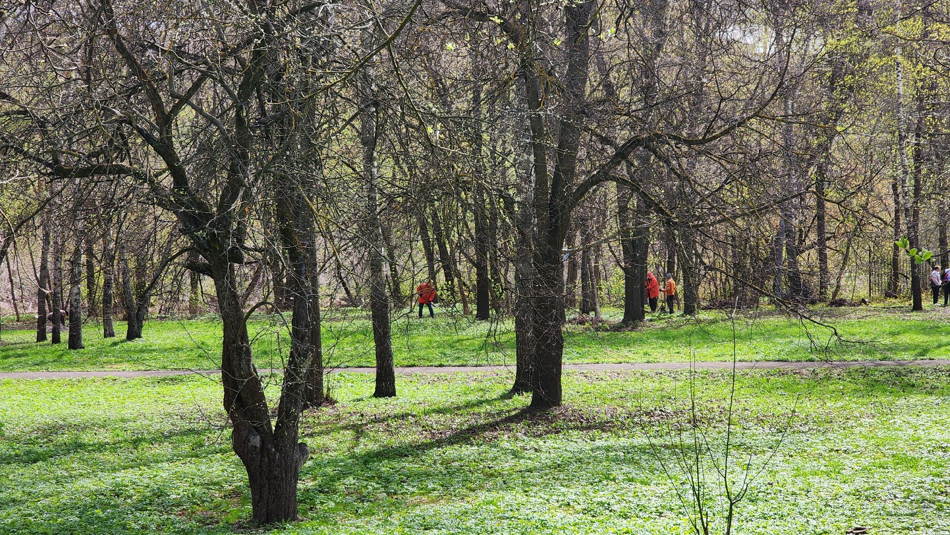 Подольск, Музей, Волонтеры, Благоустройство, Субботник,
