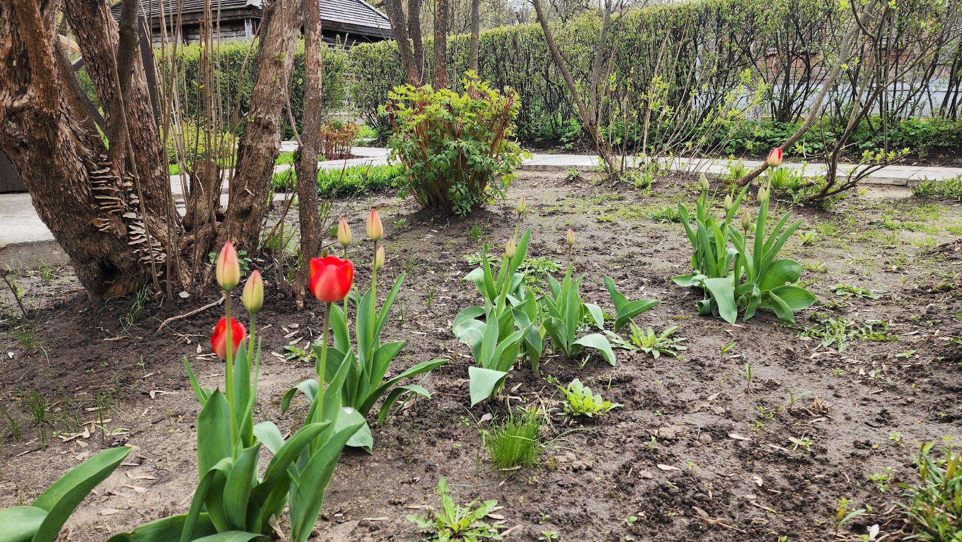 Подольск, Музей, Волонтеры, Благоустройство, Субботник,