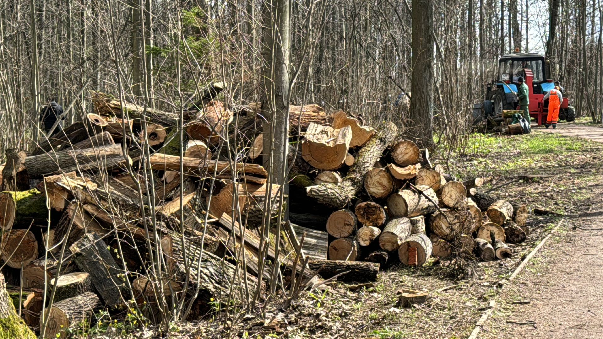 Одинцово, Субботник, Благоустройство,