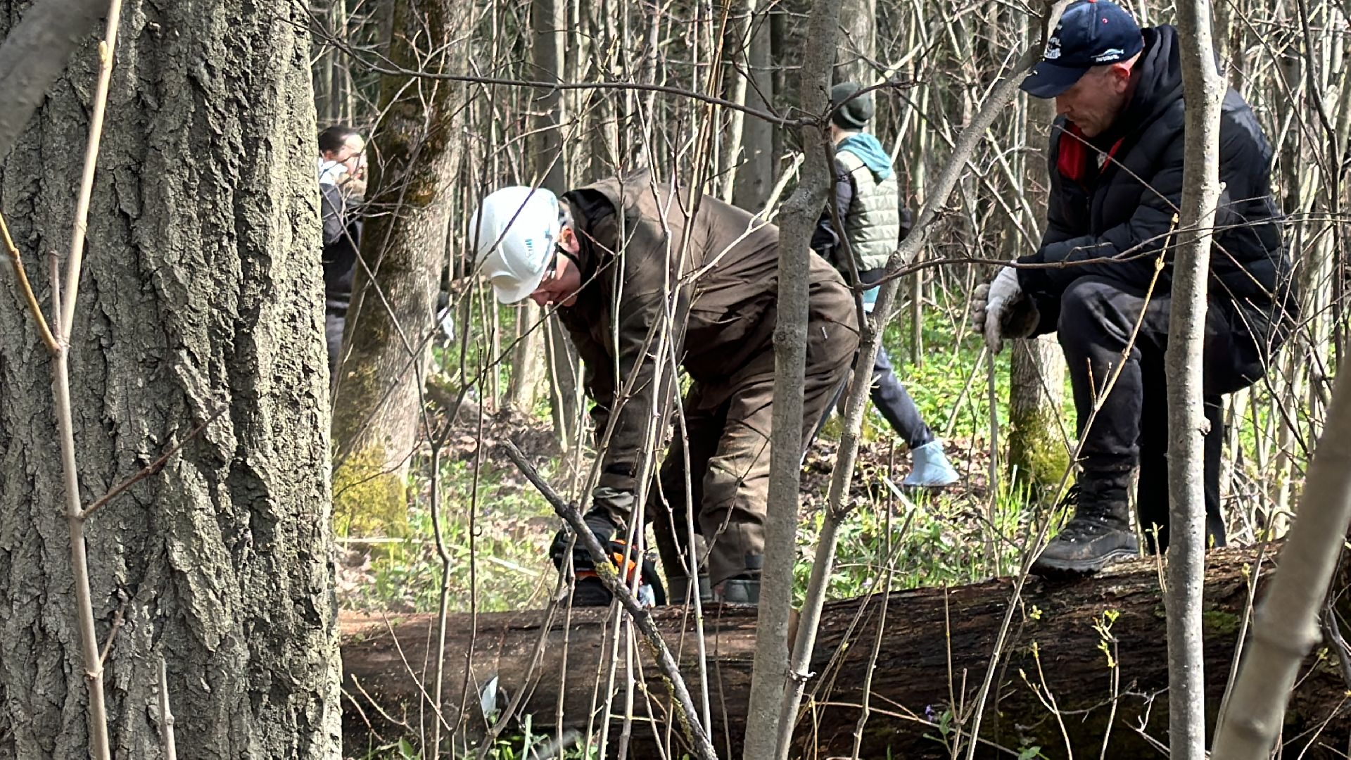 Одинцово, Субботник, Благоустройство,