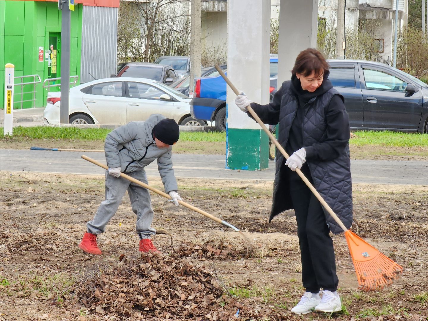 Ногинск, Полигон, Жители, Субботник, Удобка, Липовая аллея,