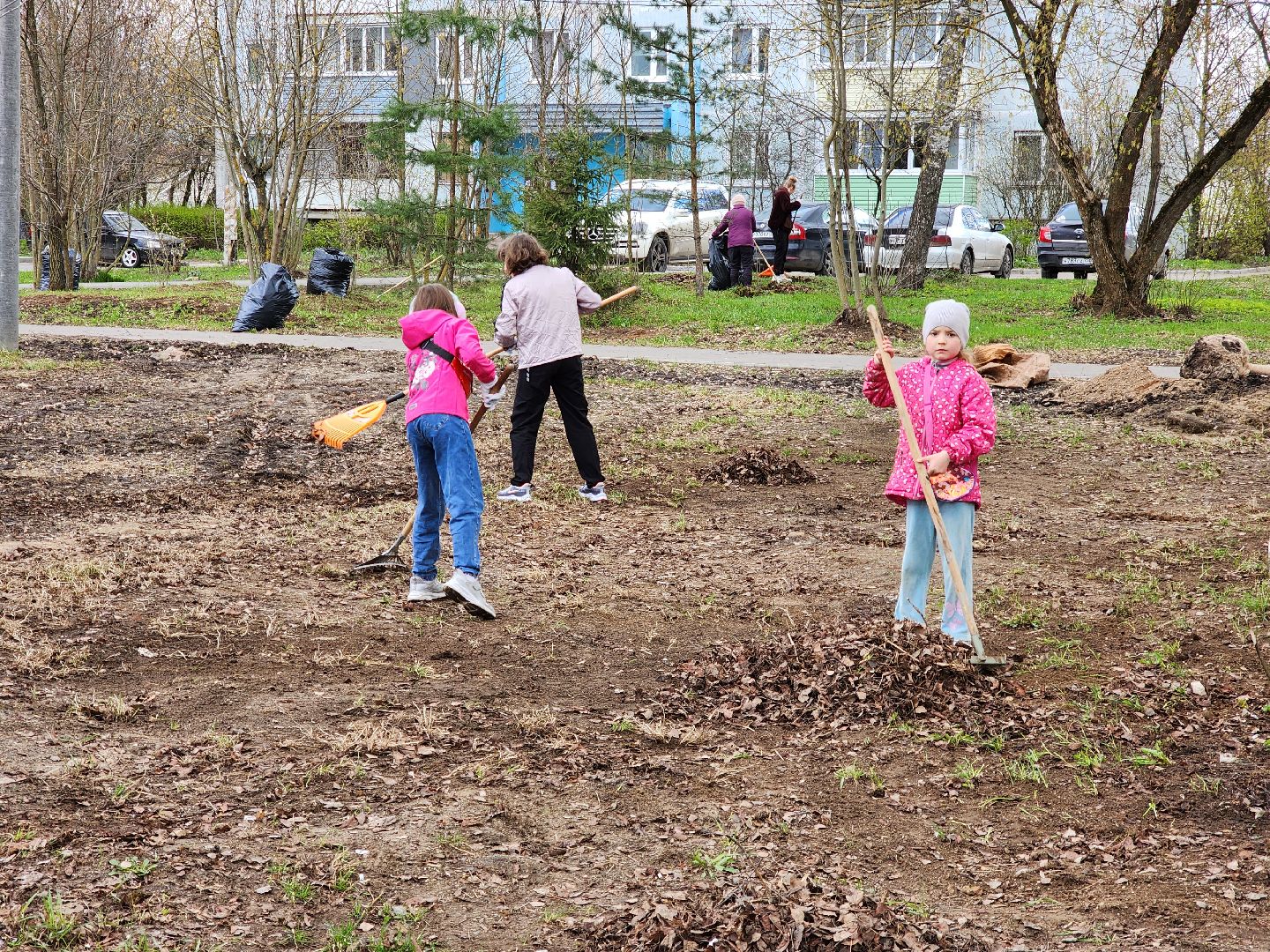 Ногинск, Полигон, Жители, Субботник, Удобка, Липовая аллея,