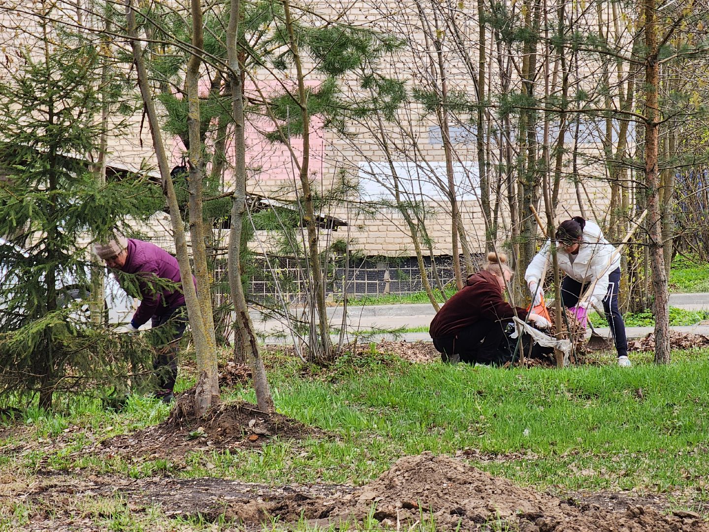 Ногинск, Полигон, Жители, Субботник, Удобка, Липовая аллея,