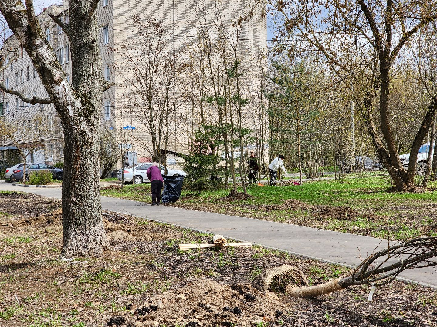 Ногинск, Полигон, Жители, Субботник, Удобка, Липовая аллея,