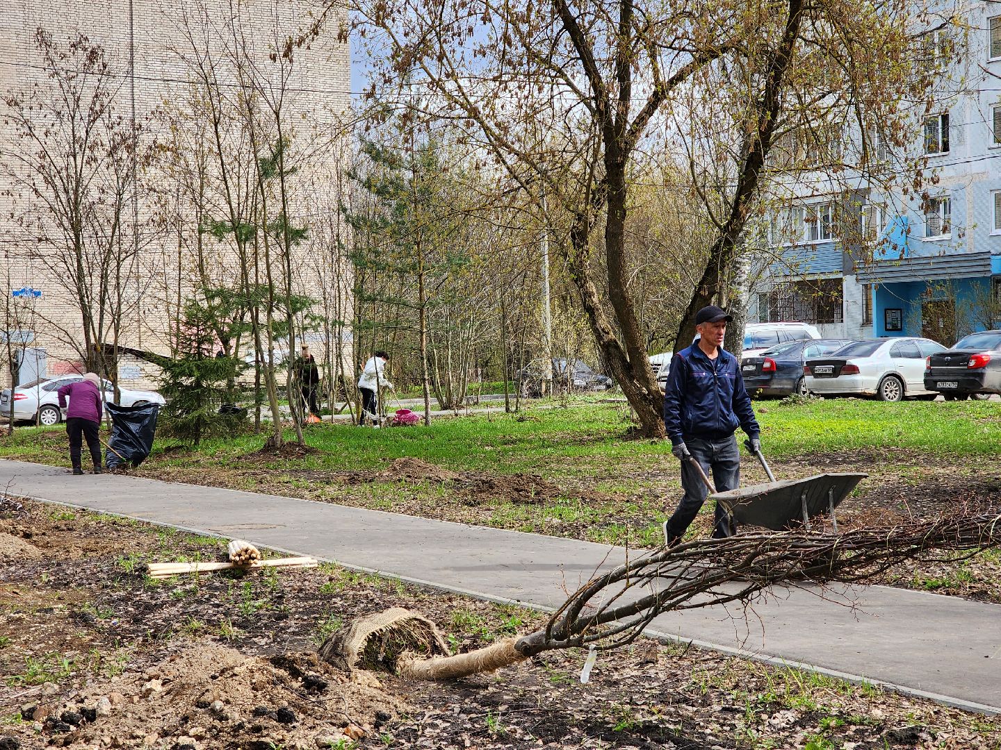 Ногинск, Полигон, Жители, Субботник, Удобка, Липовая аллея,