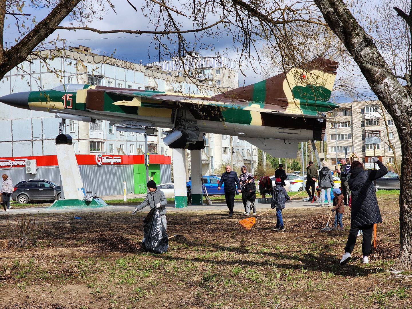 Ногинск, Полигон, Жители, Субботник, Удобка, Липовая аллея,