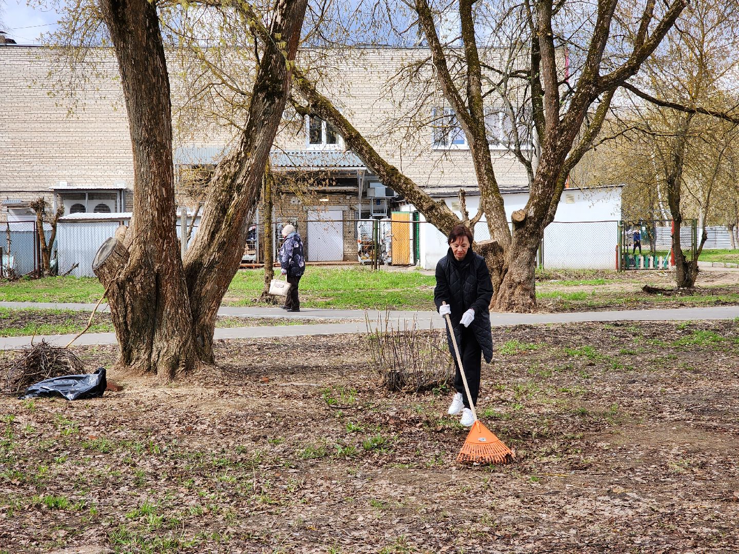 Ногинск, Полигон, Жители, Субботник, Удобка, Липовая аллея,