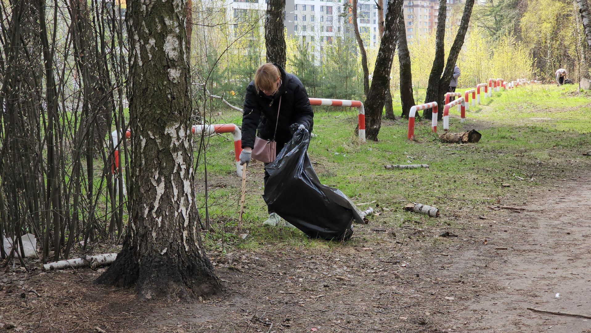 субботник, месяц чистоты и благоустройства, подмосквье,