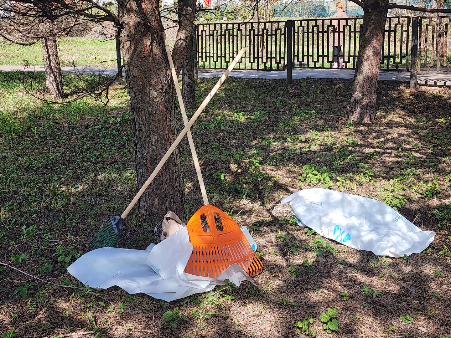 субботник, яуза, волонтер,