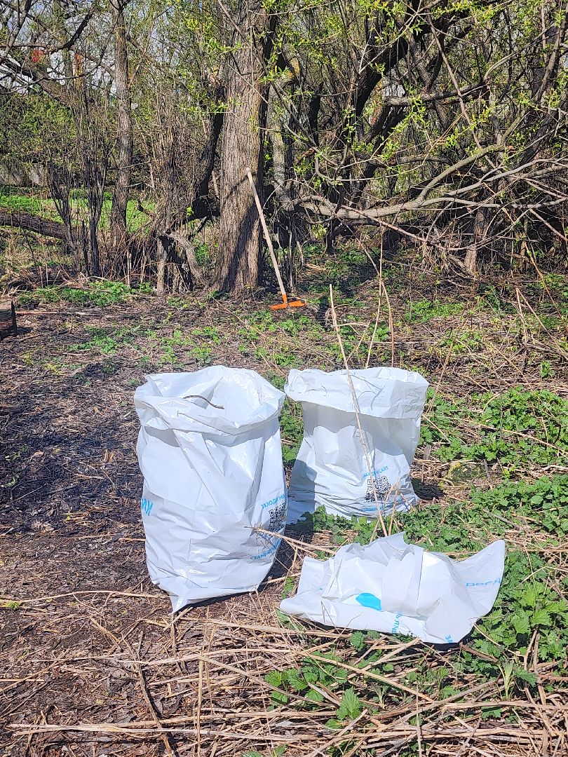 вода россии, волонеры, субботник,