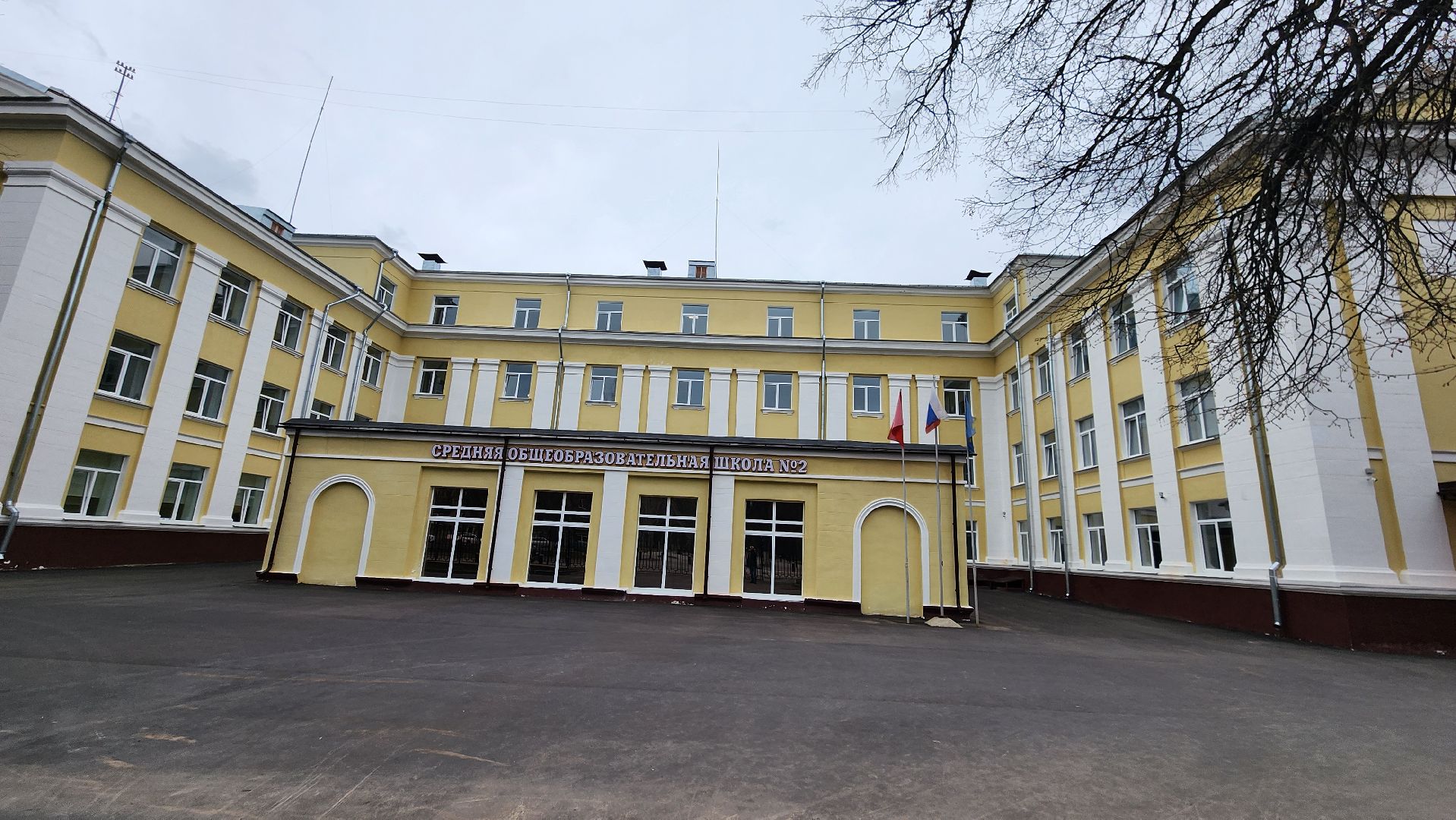 сосны, хвойные деревья, пересадка, бульвар маяковского, Город-сад, ул ломоносова, Старый город, улица Гагарина, школа 2,