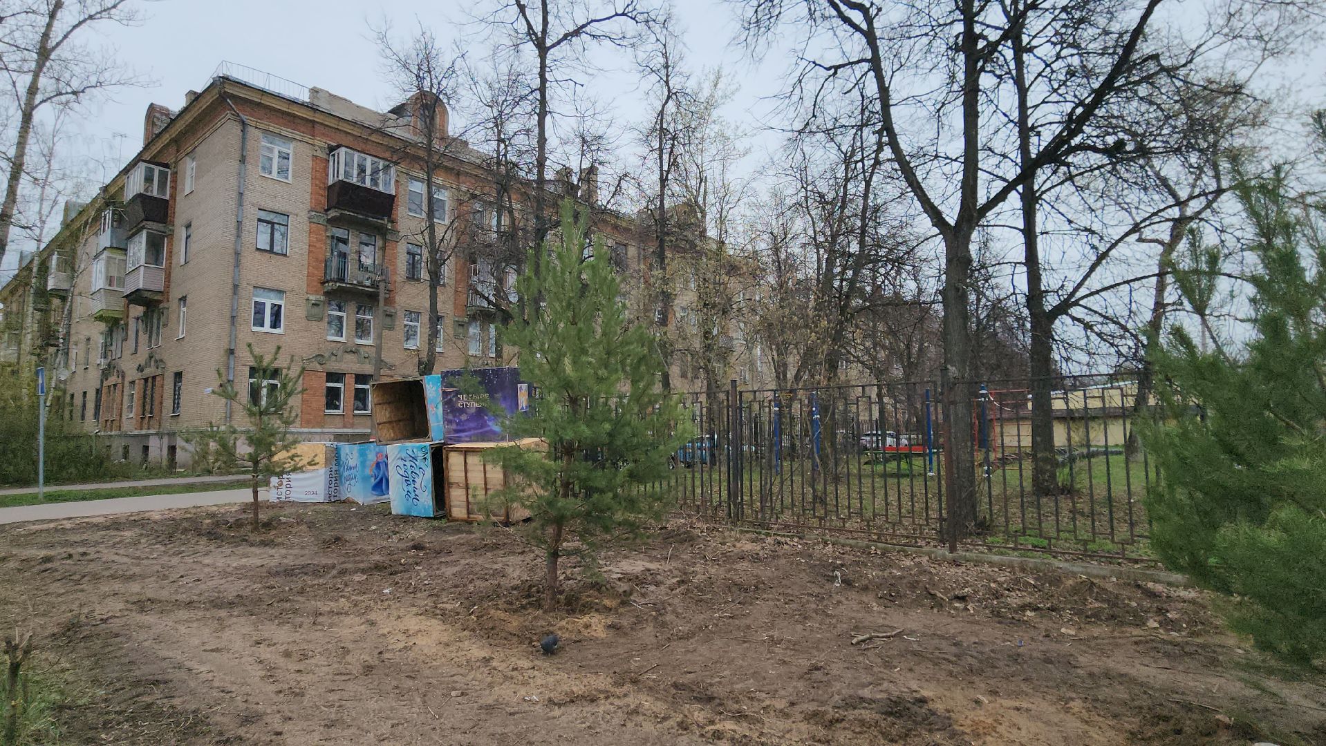 сосны, хвойные деревья, пересадка, бульвар маяковского, Город-сад, ул ломоносова, Старый город, улица Гагарина, школа 2,