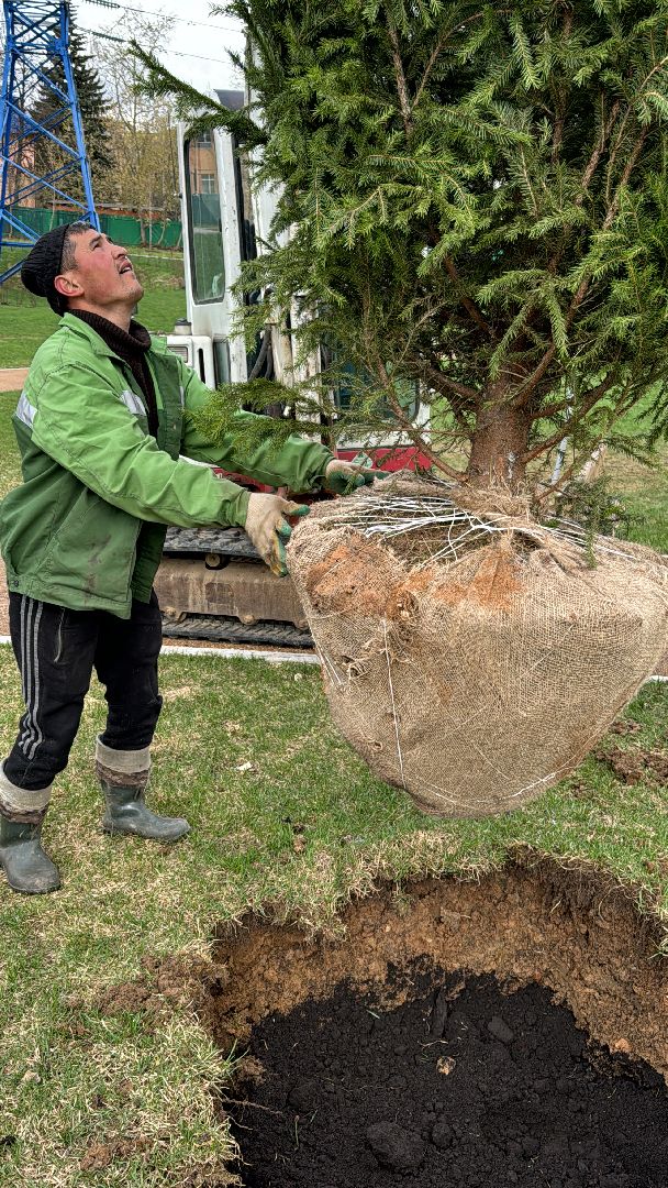 Одинцово, ЖК Союзный, благоуйстройство,