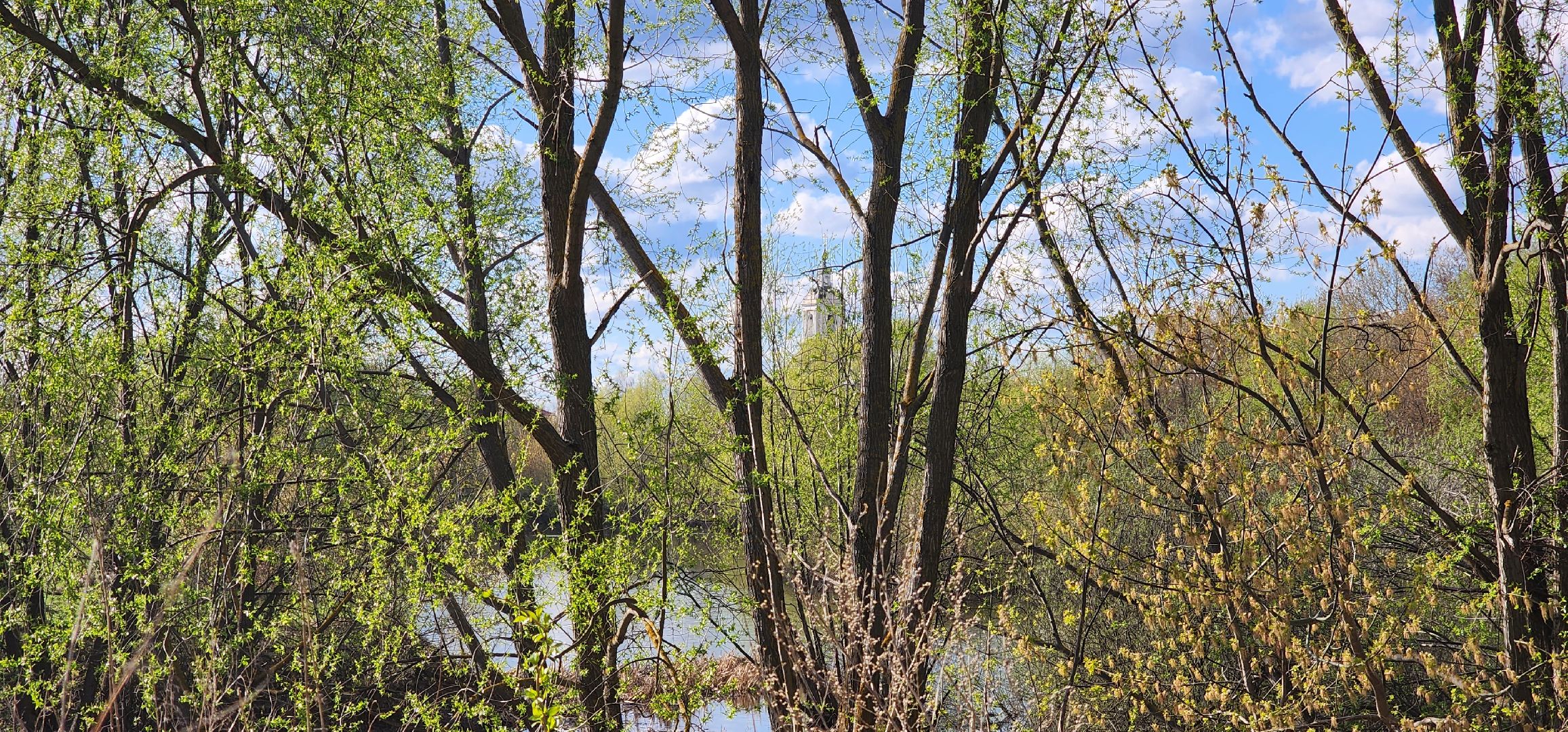 Коломна, субботник,