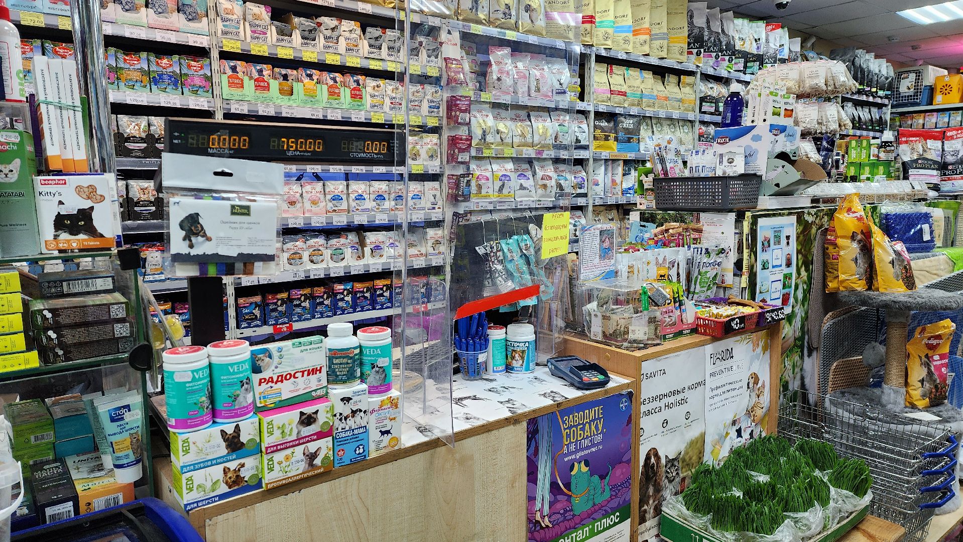 отключение электроэнергии, авария, лэп,