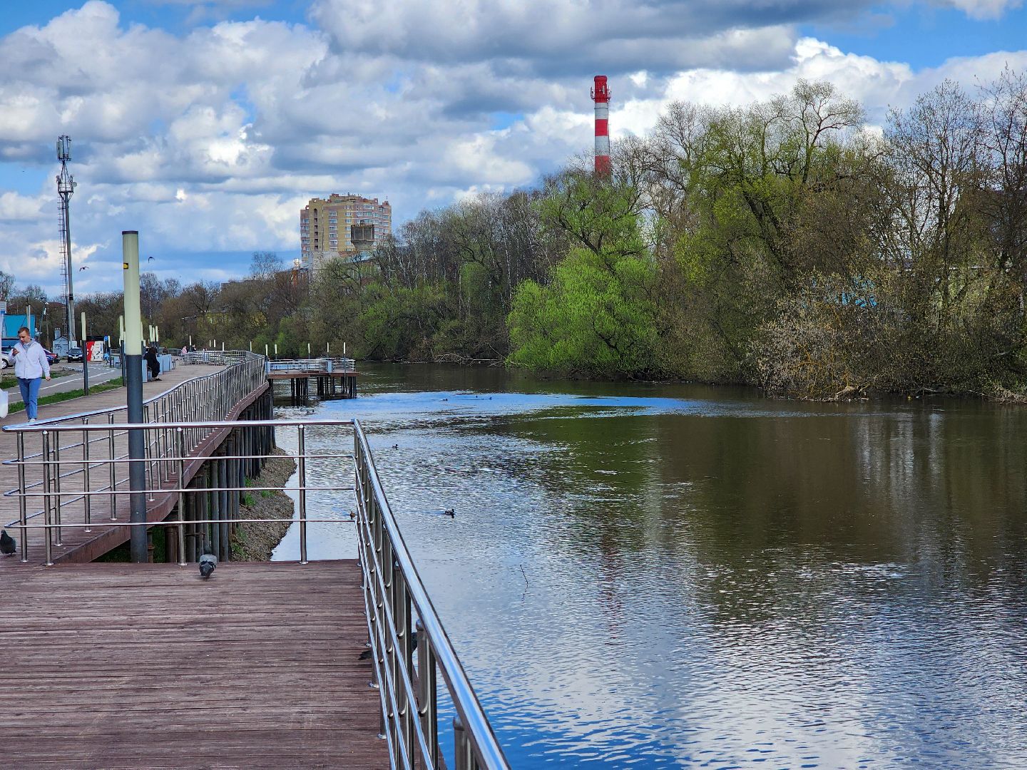 Ногинск, Набережная, Клязьма, Лавровка, Утки, Ондатры,