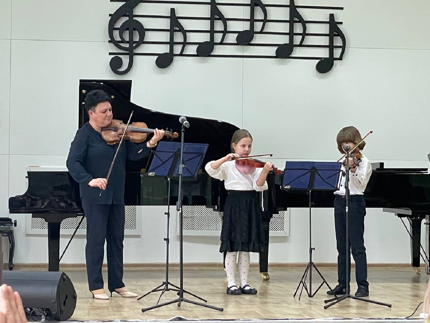 детская школа искусств, волоколамск, день открытых дверей, музыка, живопись,