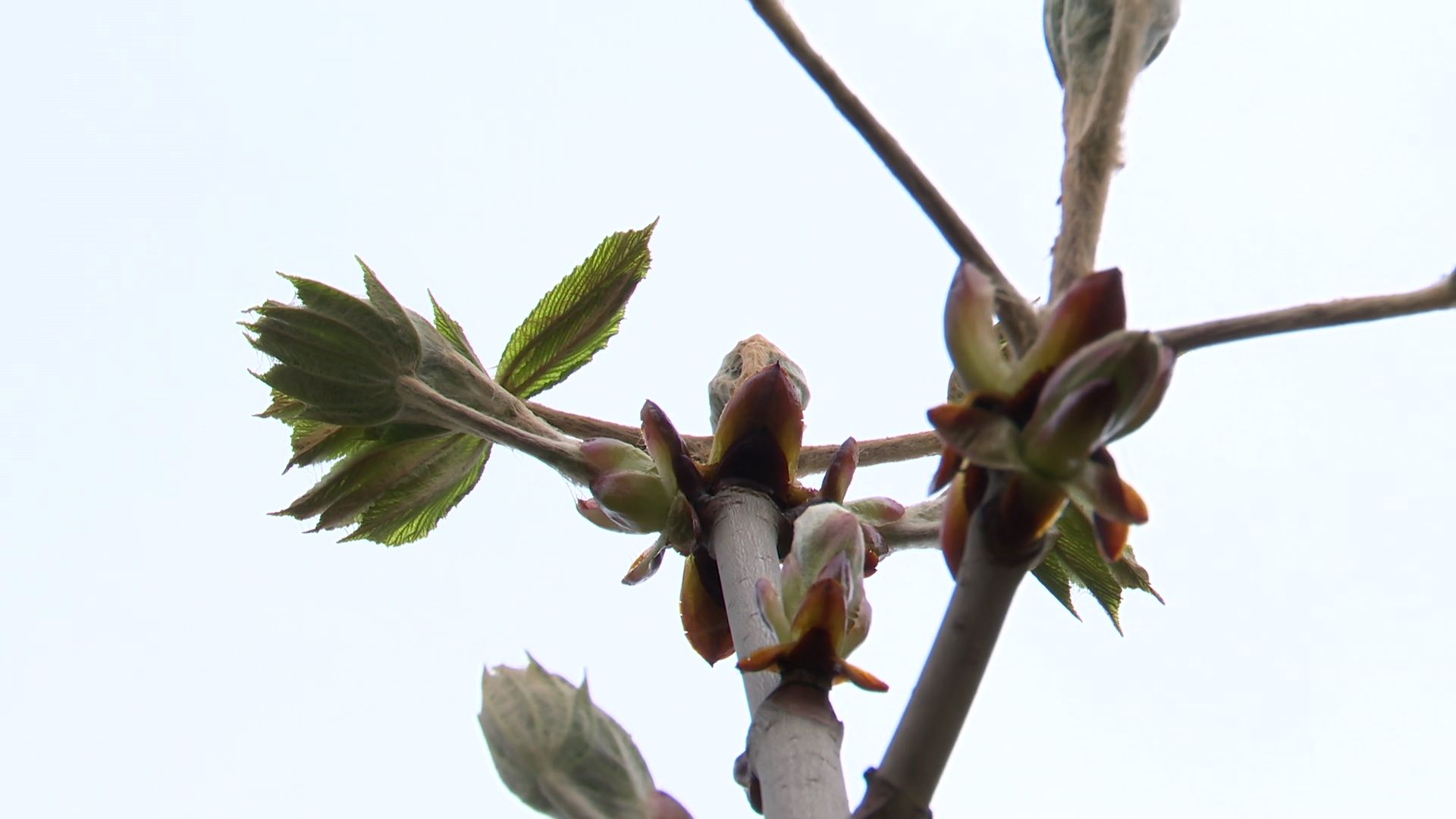 Реутов, благоустройство, народная тропа, дорожки, асфальт, бордюры,